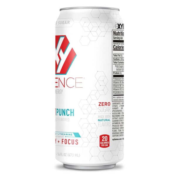 Xyience Energy Fruit Punch - Image 3
