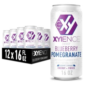 Xyience Energy Blueberry Pomegranate